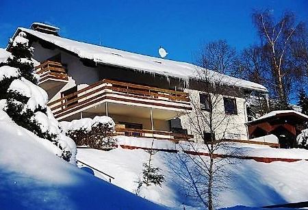 Ferienwohnungen Willingen Wald Экстерьер фото