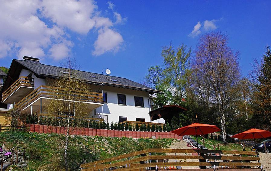 Ferienwohnungen Willingen Wald Экстерьер фото
