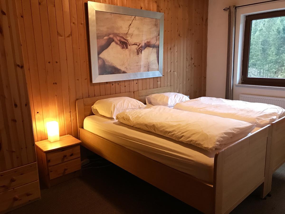 Ferienwohnungen Willingen Wald Экстерьер фото